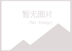 上海夏岚水泥有限公司